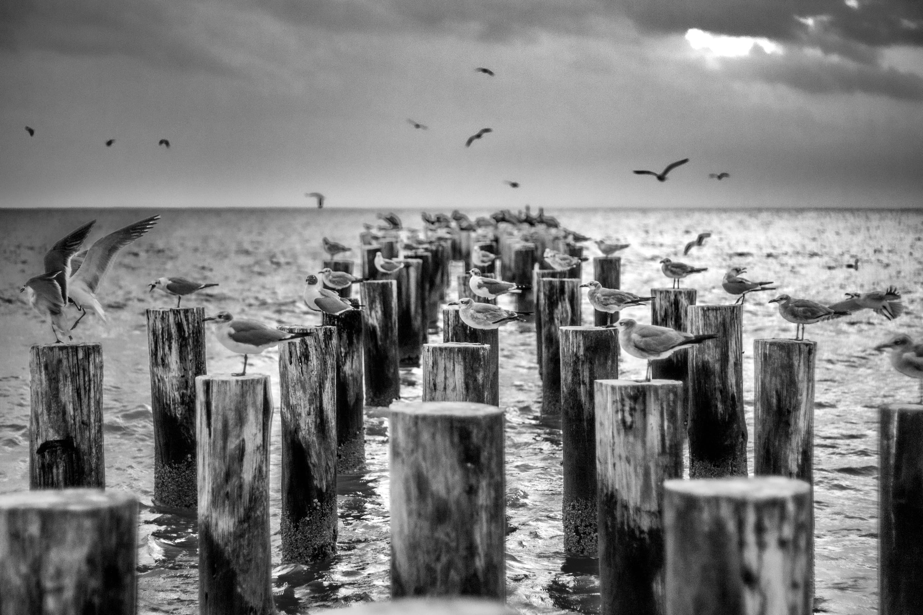 From Sensor to Wall: The Journey of a Fine Art Print